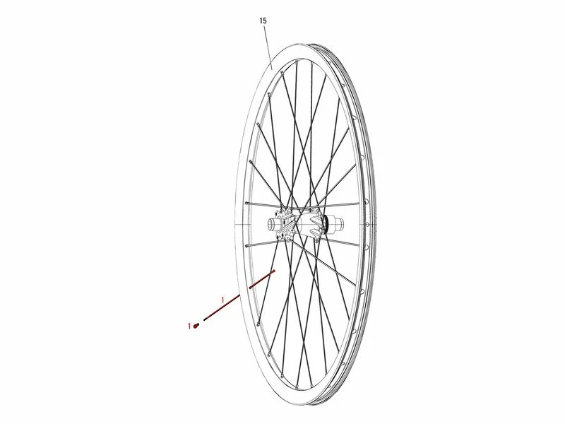 Sram Kit De 3 Rayons Pour Rise 40 3 Sram Kit De 3 Rayons Pour Rise 40